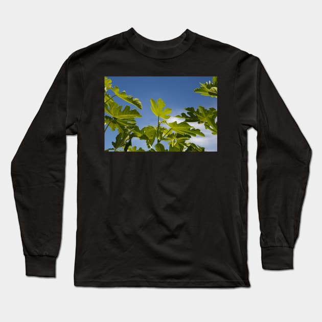 Fig Leaves Long Sleeve T-Shirt by rhintl